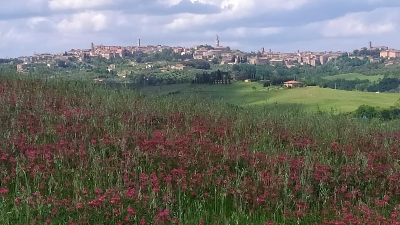 Dago Farmhouse Siena Buitenkant foto